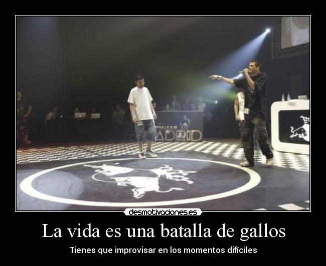 La vida es una batalla de gallos -
