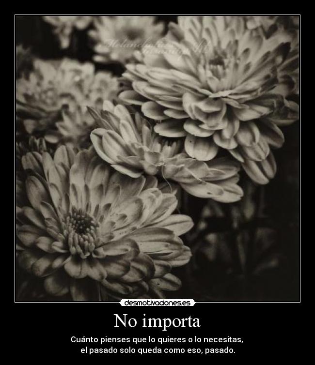 No importa -