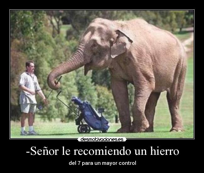 carteles elefantes cady desmotivaciones