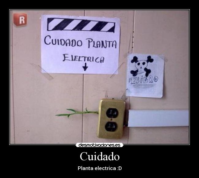 carteles planta desmotivaciones