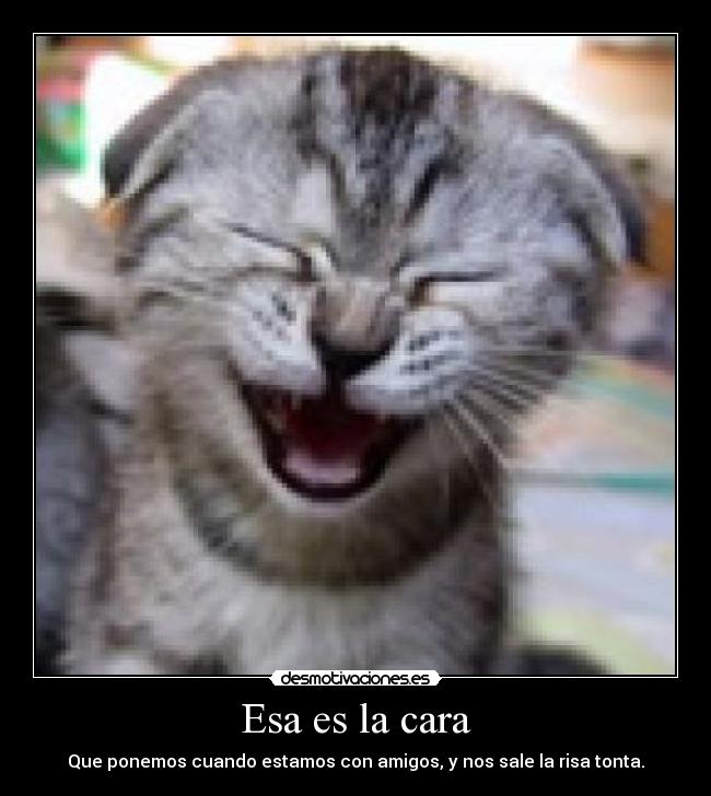Esa es la cara - Que ponemos cuando estamos con amigos, y nos sale la risa tonta.