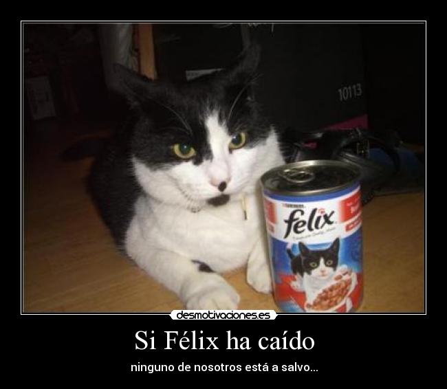 Si Félix ha caído - ninguno de nosotros está a salvo...