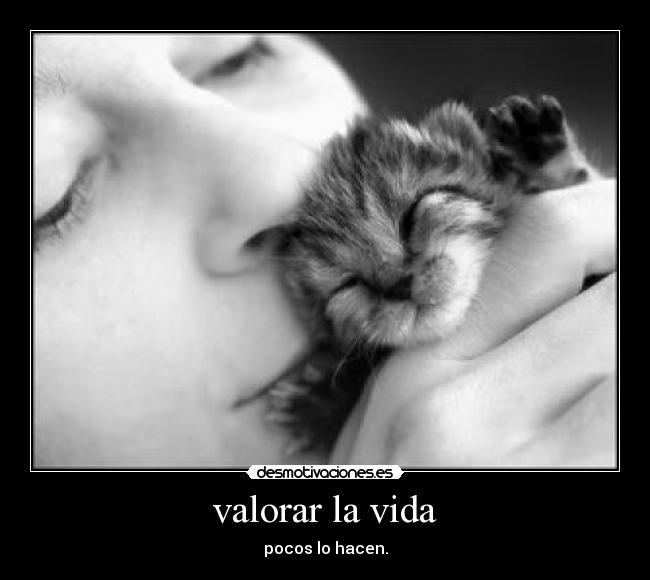 valorar la vida - pocos lo hacen.