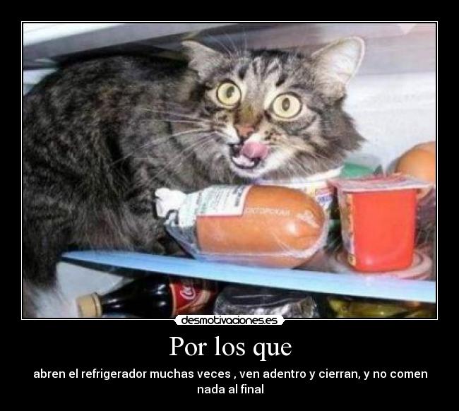 Por los que - abren el refrigerador muchas veces , ven adentro y cierran, y no comen nada al final