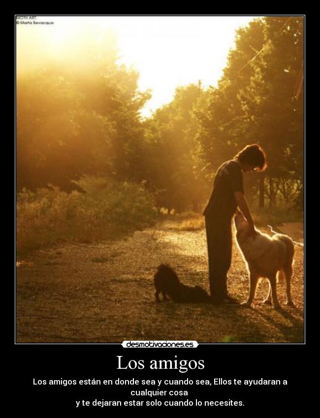 Los amigos - Los amigos están en donde sea y cuando sea, Ellos te ayudaran a cualquier cosa
y te dejaran estar solo cuando lo necesites.
