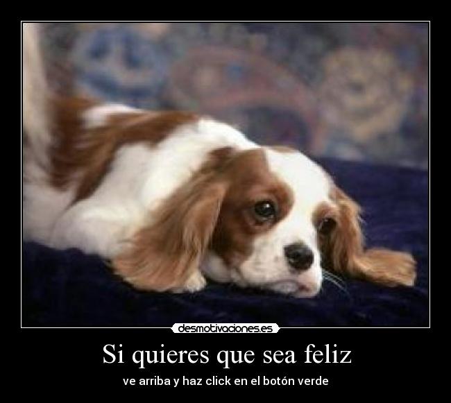 Si quieres que sea feliz - ve arriba y haz click en el botón verde