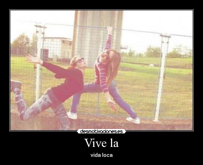 Vive la - 