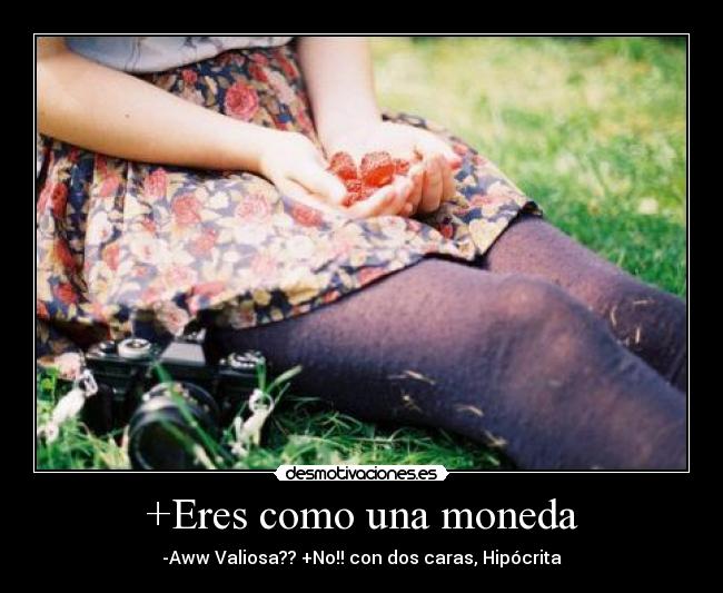 carteles nn desmotivaciones