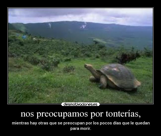 nos preocupamos por tonterías, -