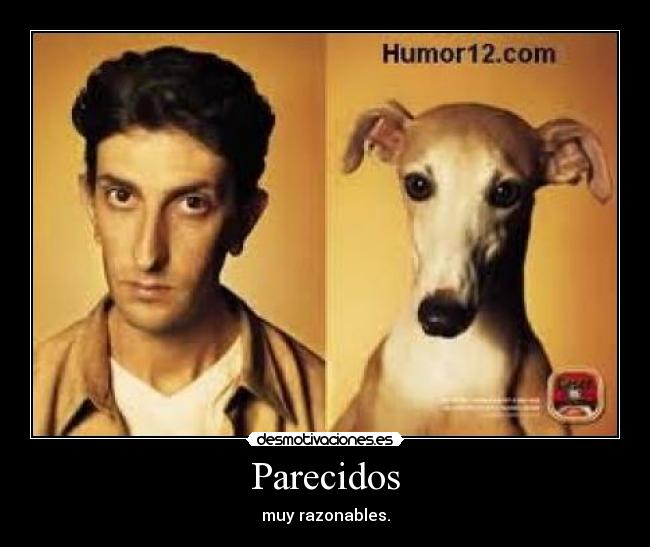 Parecidos -