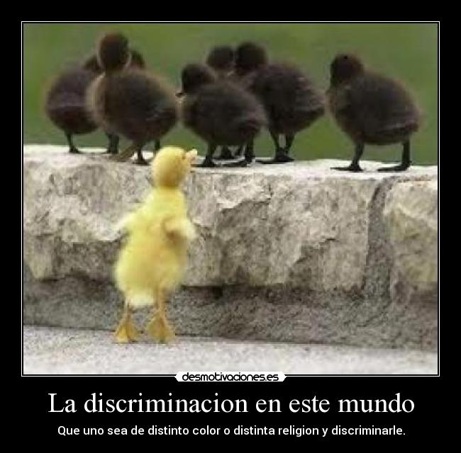 La discriminacion en este mundo - Que uno sea de distinto color o distinta religion y discriminarle.