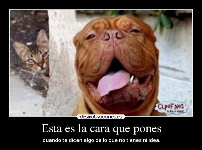 Esta es la cara que pones - 