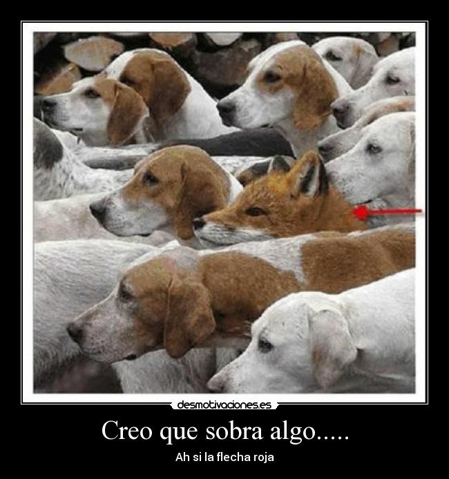 Creo que sobra algo..... - Ah si la flecha roja