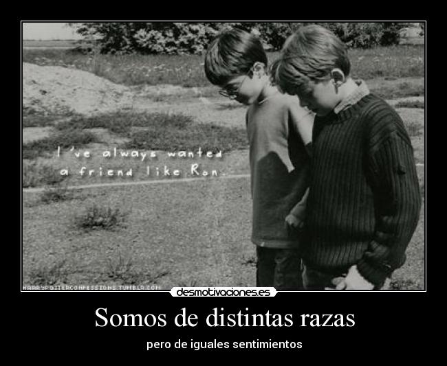 Somos de distintas razas - 