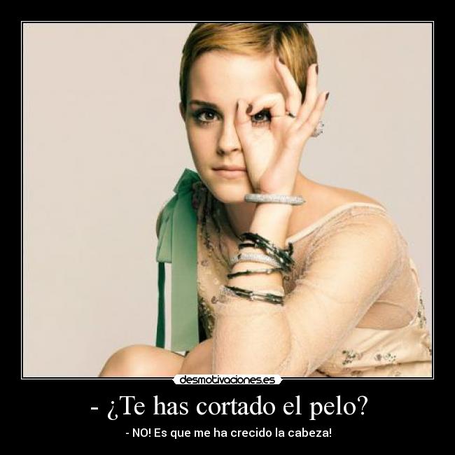 - ¿Te has cortado el pelo? - - NO! Es que me ha crecido la cabeza!