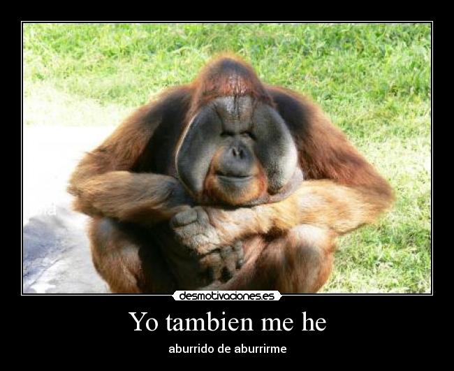 Yo tambien me he -