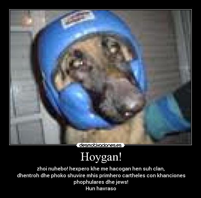 Hoygan! -