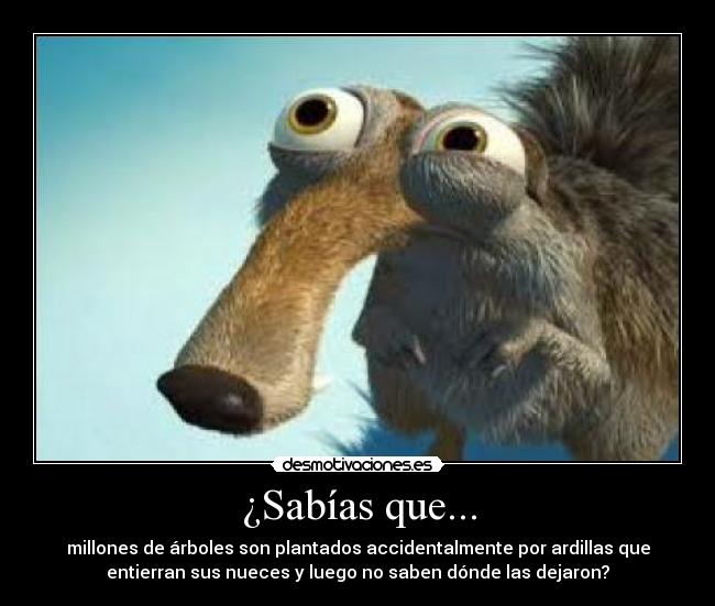 carteles ardillas desmotivaciones