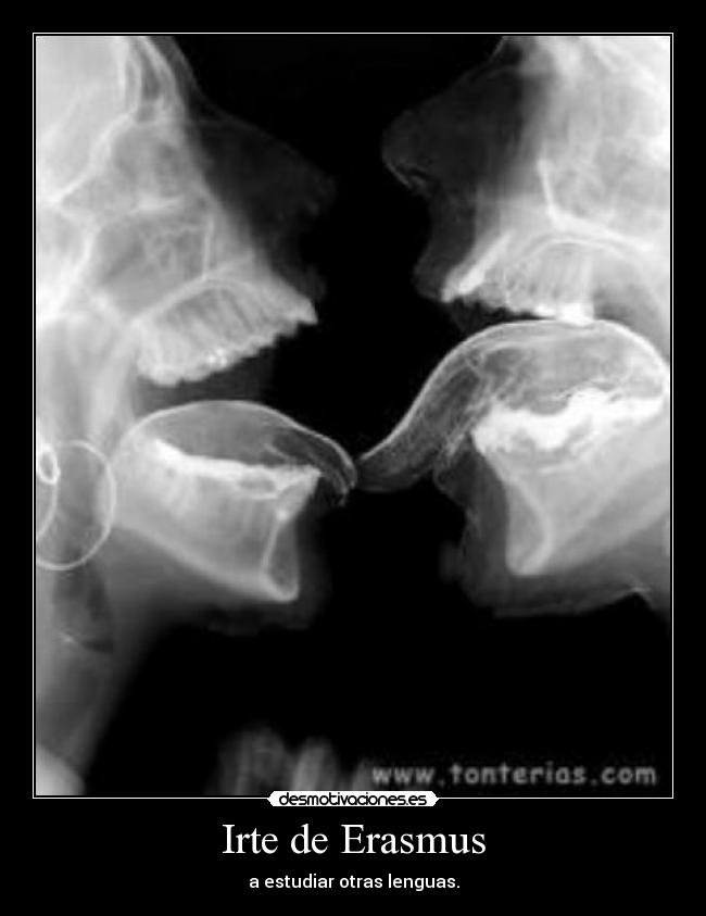 Irte de Erasmus - a estudiar otras lenguas.