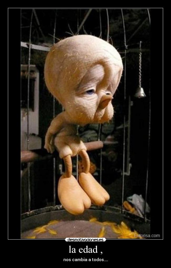 carteles piolin viejito desmotivaciones