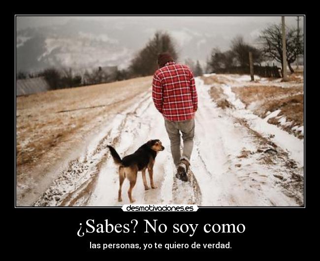 ¿Sabes? No soy como - las personas, yo te quiero de verdad.