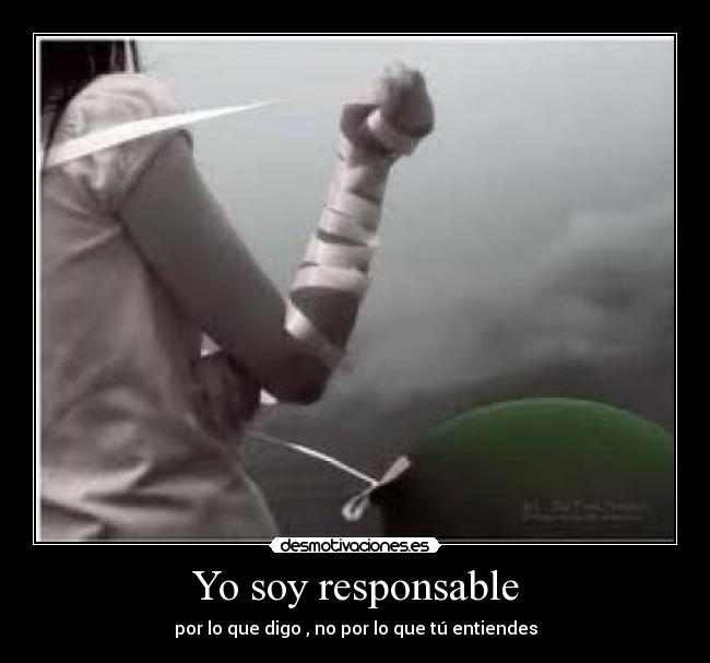 Yo soy responsable - por lo que digo , no por lo que tú entiendes