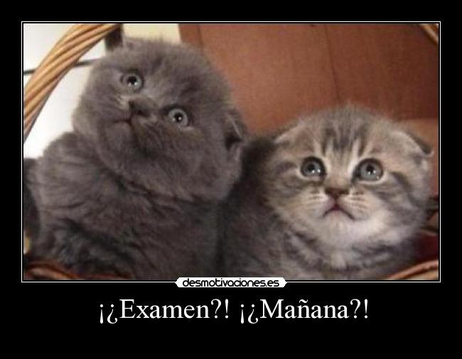 ¡¿Examen?! ¡¿Mañana?! - 