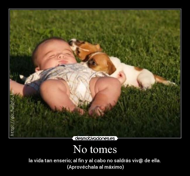 No tomes - la vida tan enserio; al fin y al cabo no saldrás viv@ de ella. 
(Aprovéchala al máximo)