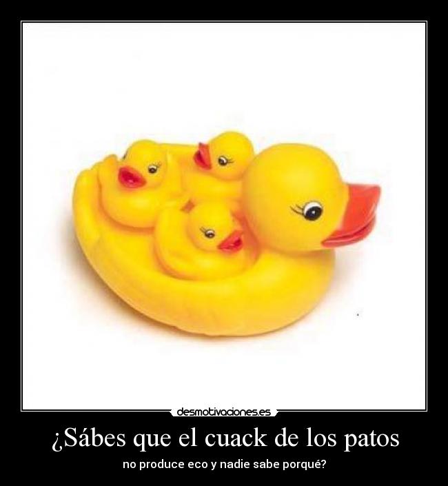 ¿Sábes que el cuack de los patos - no produce eco y nadie sabe porqué?