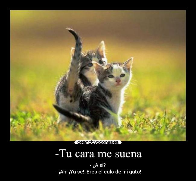 carteles lapicnrip desmotivaciones