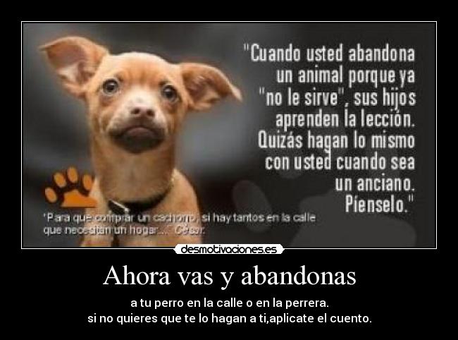 Ahora vas y abandonas - a tu perro en la calle o en la perrera.
si no quieres que te lo hagan a ti,aplicate el cuento.