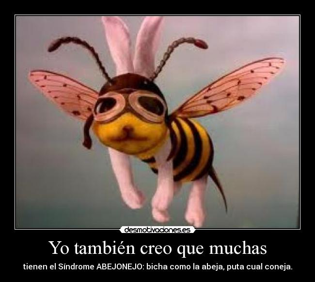 Yo también creo que muchas - tienen el Síndrome ABEJONEJO: bicha como la abeja, puta cual coneja.