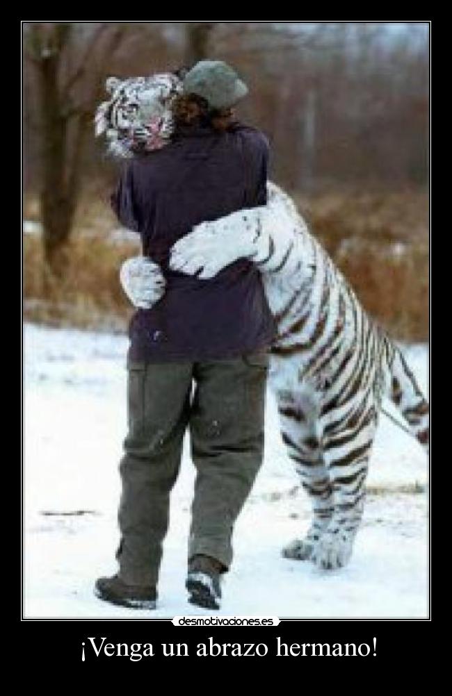 ¡Venga un abrazo hermano! -