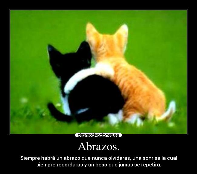 Abrazos. - Siempre habrá un abrazo que nunca olvidaras, una sonrisa la cual
siempre recordaras y un beso que jamas se repetirá.