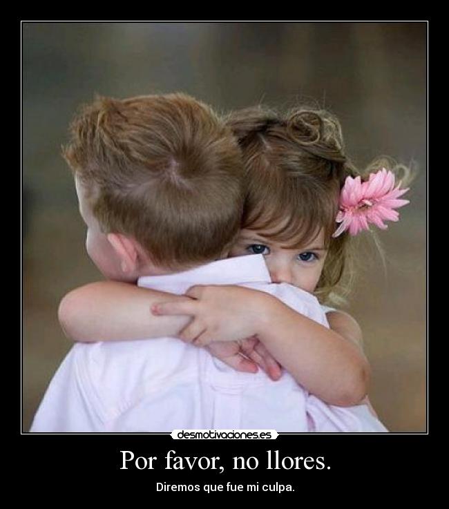 Por favor, no llores. - Diremos que fue mi culpa.