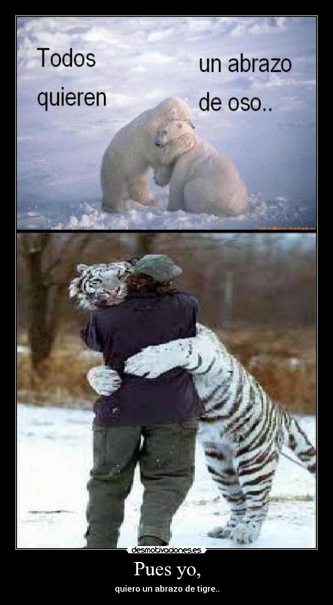 carteles abrazos tigres desmotivaciones