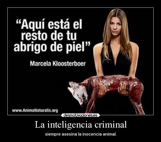 La inteligencia criminal - siempre asesina la inocencia animal.