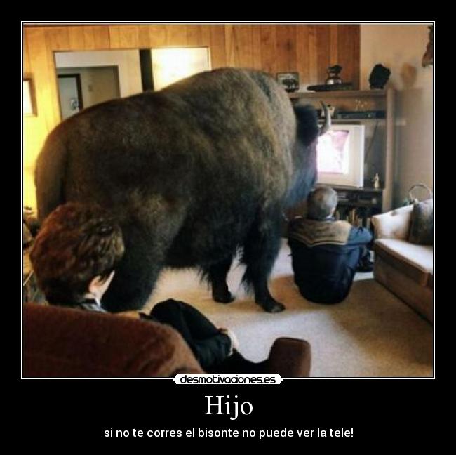 Hijo - si no te corres el bisonte no puede ver la tele!