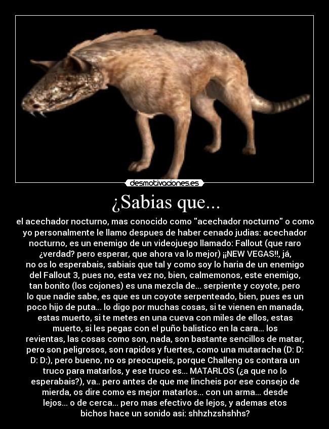 ¿Sabias que... - el acechador nocturno, mas conocido como acechador nocturno o como
yo personalmente le llamo despues de haber cenado judias: acechador
nocturno, es un enemigo de un videojuego llamado: Fallout (que raro
¿verdad? pero esperar, que ahora va lo mejor) ¡¡NEW VEGAS!!, já,
no os lo esperabais, sabiais que tal y como soy lo haria de un enemigo
del Fallout 3, pues no, esta vez no, bien, calmemonos, este enemigo,
tan bonito (los cojones) es una mezcla de... serpiente y coyote, pero
lo que nadie sabe, es que es un coyote serpenteado, bien, pues es un
poco hijo de puta... lo digo por muchas cosas, si te vienen en manada,
estas muerto, si te metes en una cueva con miles de ellos, estas
muerto, si les pegas con el puño balistico en la cara... los
revientas, las cosas como son, nada, son bastante sencillos de matar,
pero son peligrosos, son rapidos y fuertes, como una mutaracha (D: D:
D: D:), pero bueno, no os preocupeis, porque Challeng os contara un
truco para matarlos, y ese truco es... MATARLOS (¿a que no lo
esperabais?), va.. pero antes de que me lincheis por ese consejo de
mierda, os dire como es mejor matarlos... con un arma... desde
lejos... o de cerca... pero mas efectivo de lejos, y ademas etos
bichos hace un sonido asi: shhzhzshshhs?