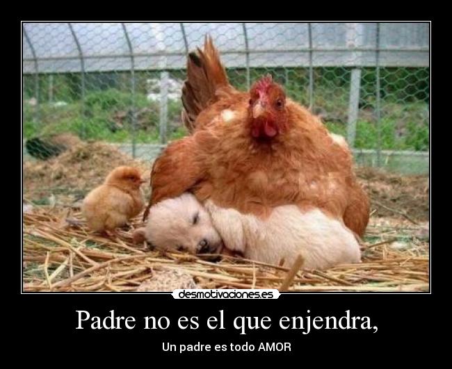 Padre no es el que enjendra, - Un padre es todo AMOR