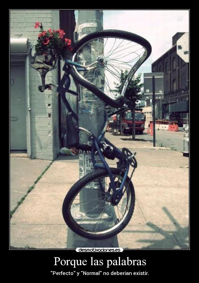 Porque las palabras - Perfecto y Normal no deberian existir.