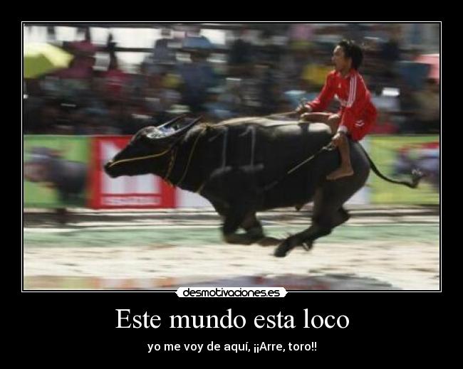 Este mundo esta loco - yo me voy de aquí, ¡¡Arre, toro!!