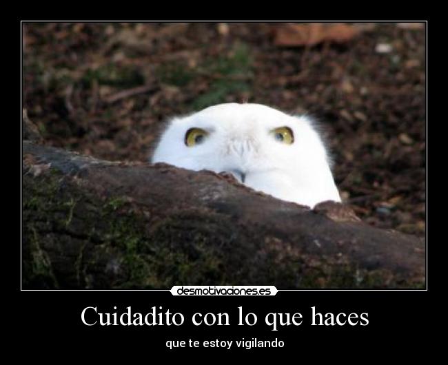 Cuidadito con lo que haces - que te estoy vigilando