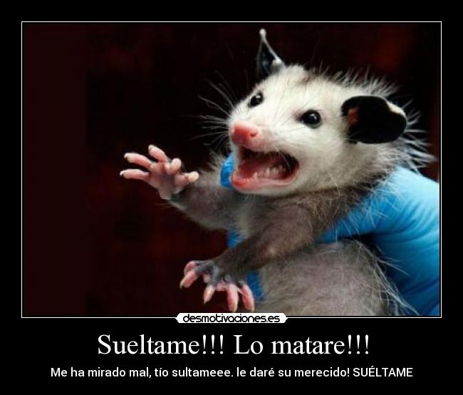 Sueltame!!! Lo matare!!! - 
