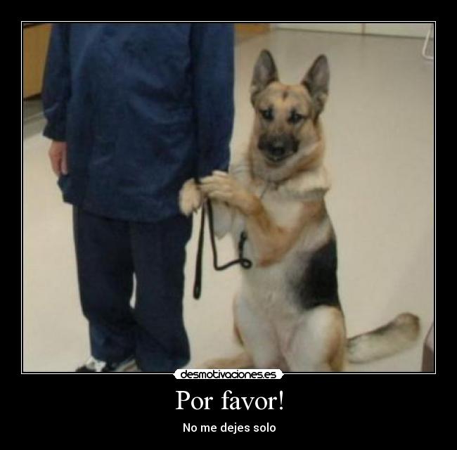 Por favor! - 