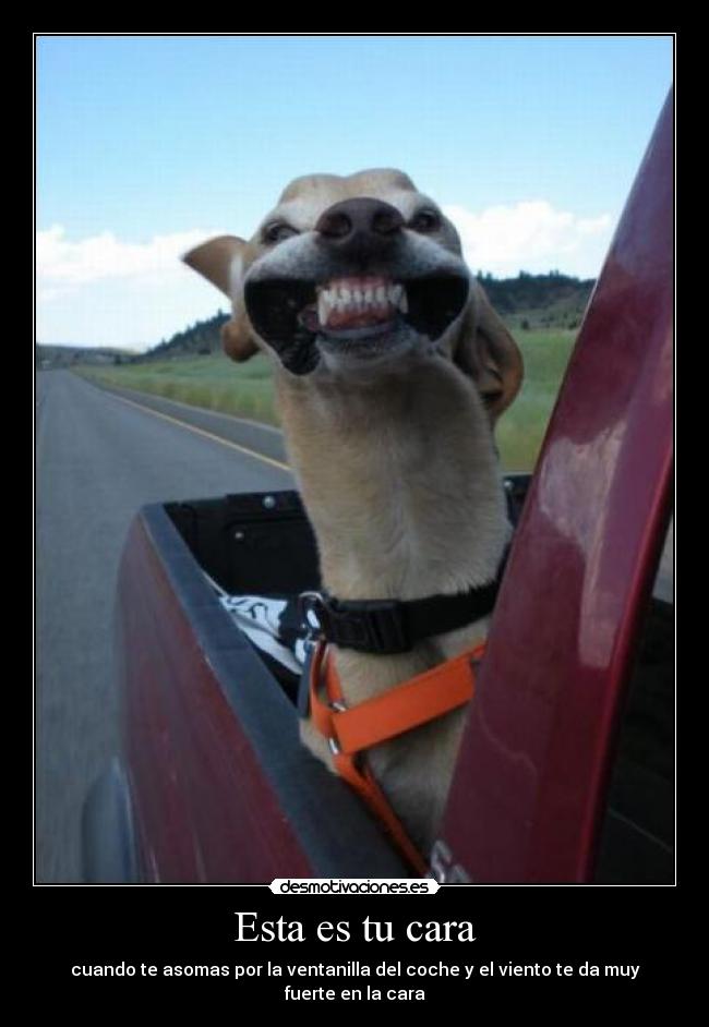 Esta es tu cara -