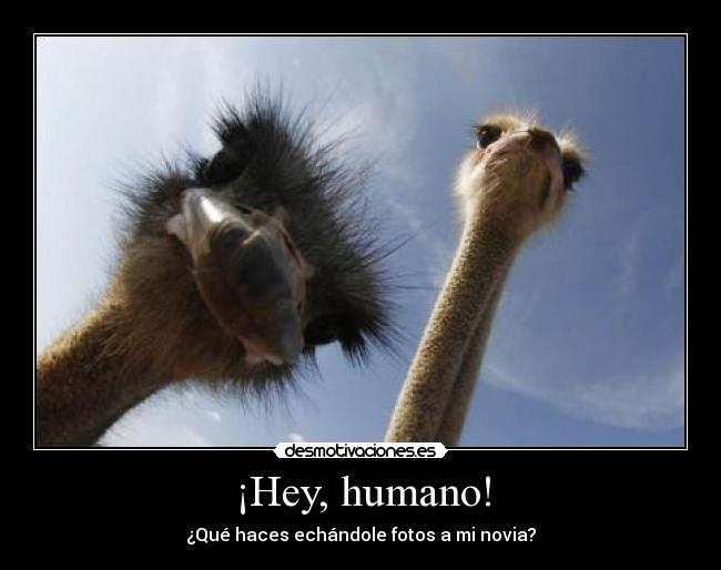 ¡Hey, humano! -