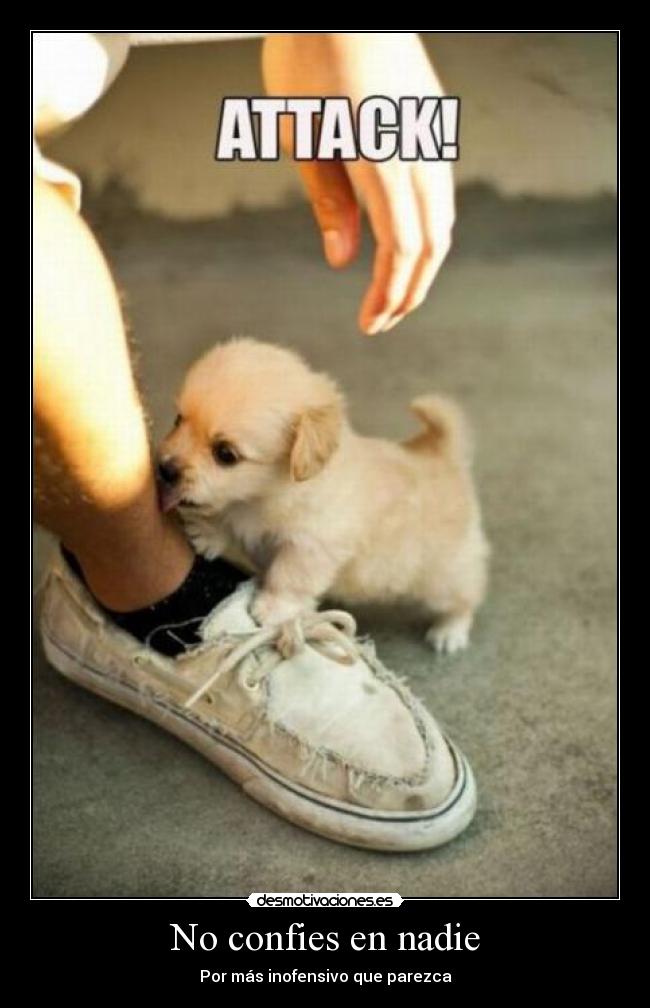 No confies en nadie - Por más inofensivo que parezca