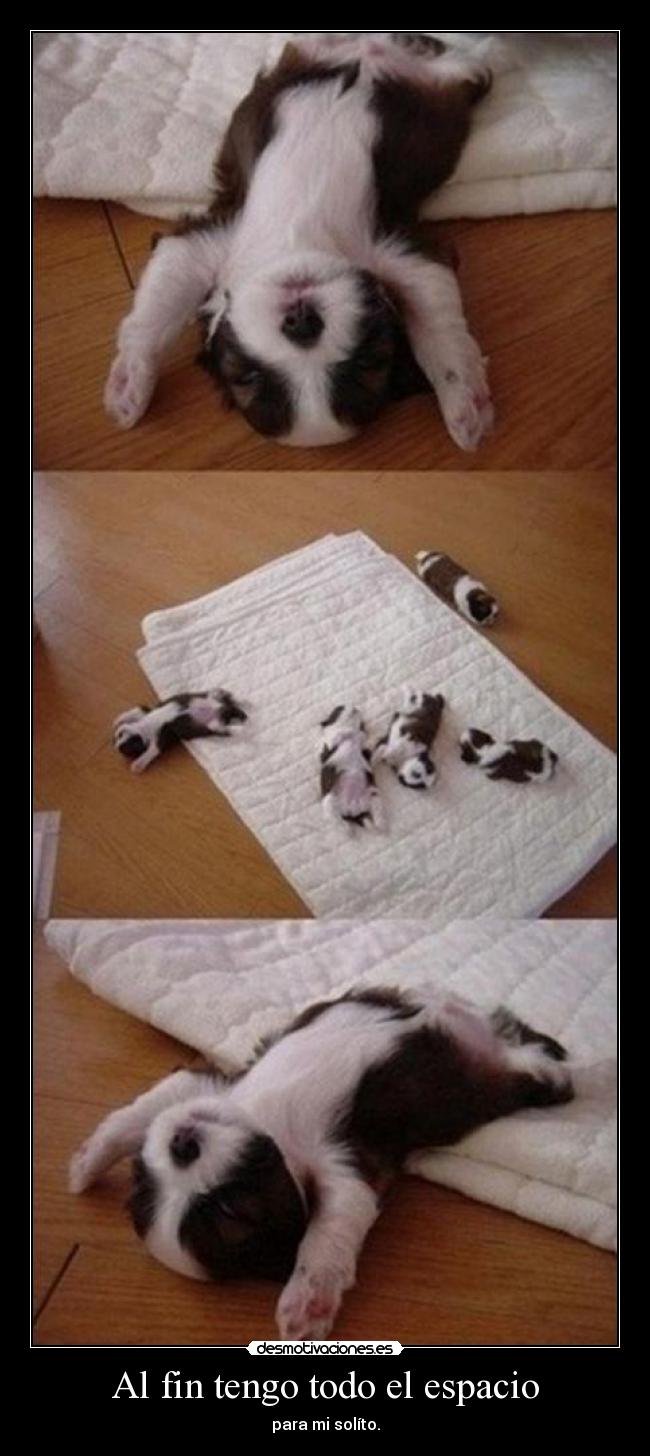 Al fin tengo todo el espacio -