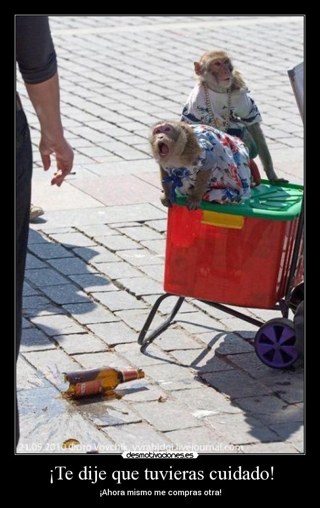 ¡Te dije que tuvieras cuidado! - ¡Ahora mismo me compras otra!